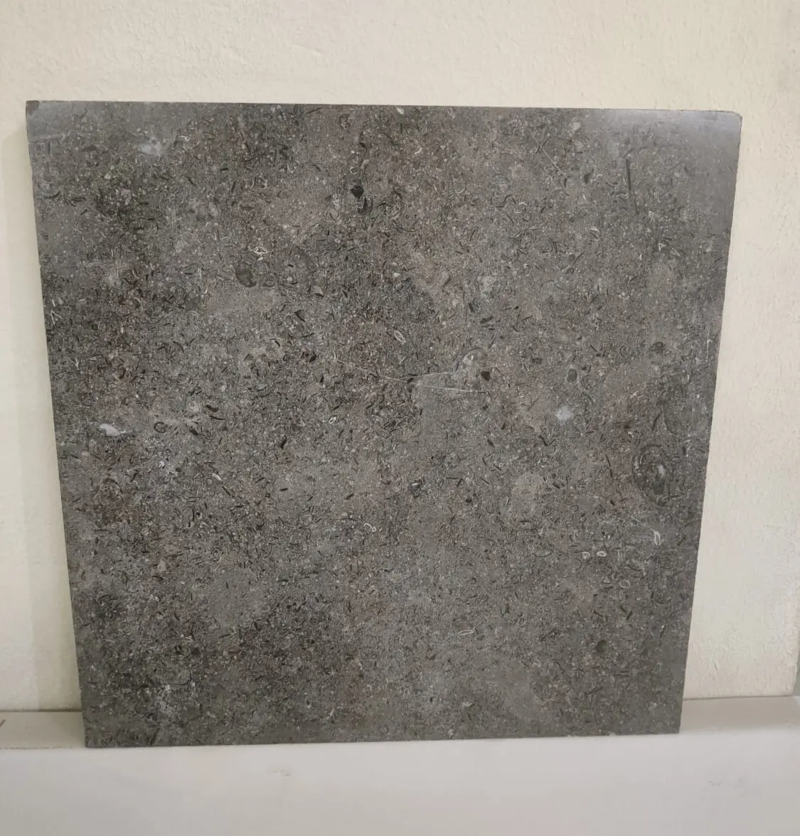 Sinai Pearl Gray